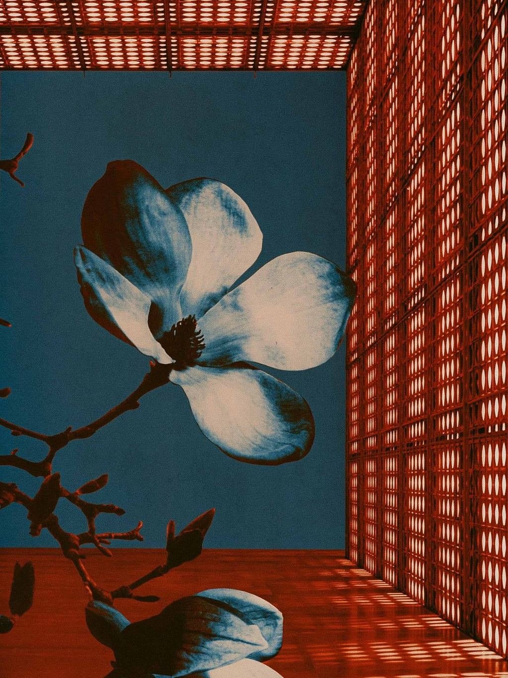 Atrium Bloom