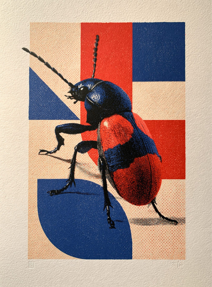 Beetle Grid
