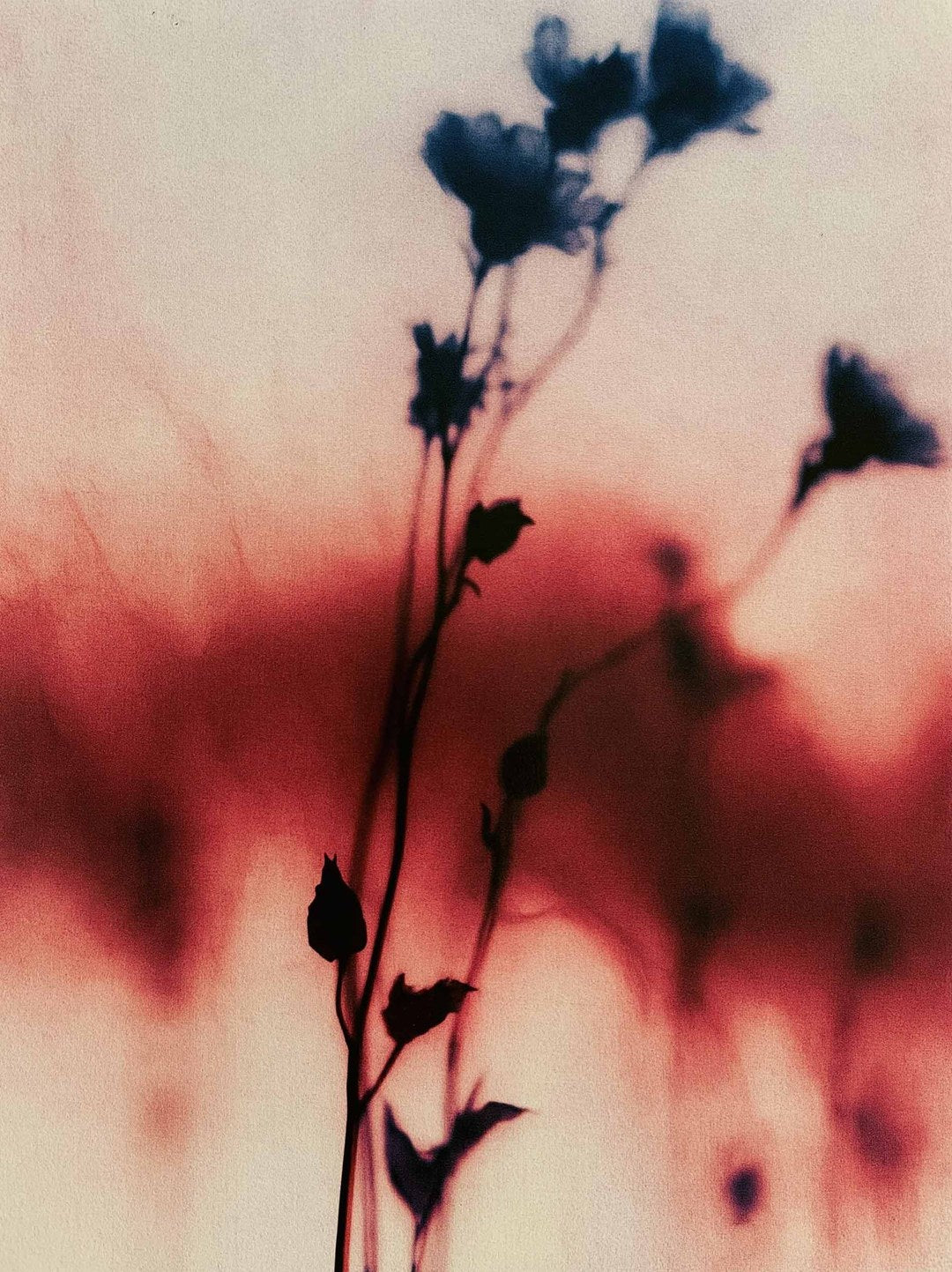 Bloom Veil