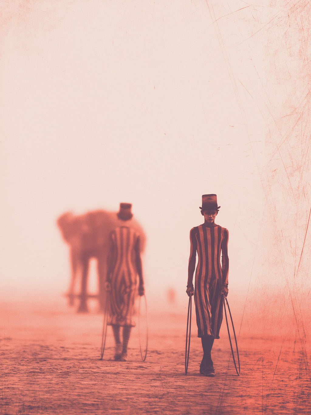 Circus of Dust
