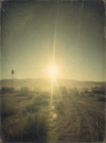 Dust & Reverie