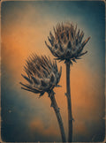 Fading Grace