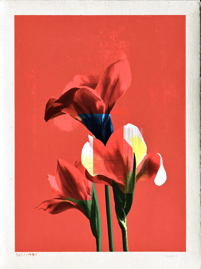 Iris Red
