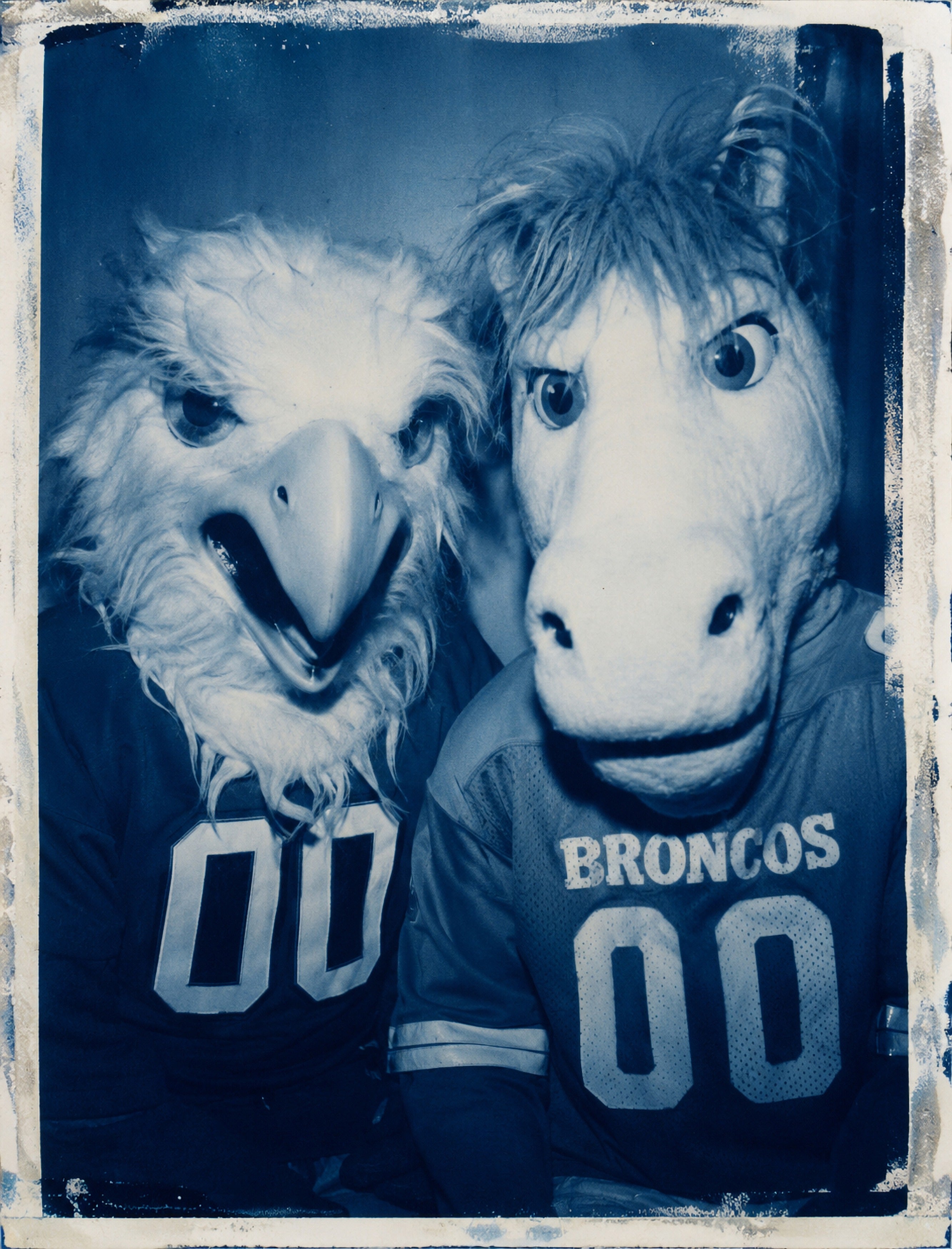 Mascot Fever